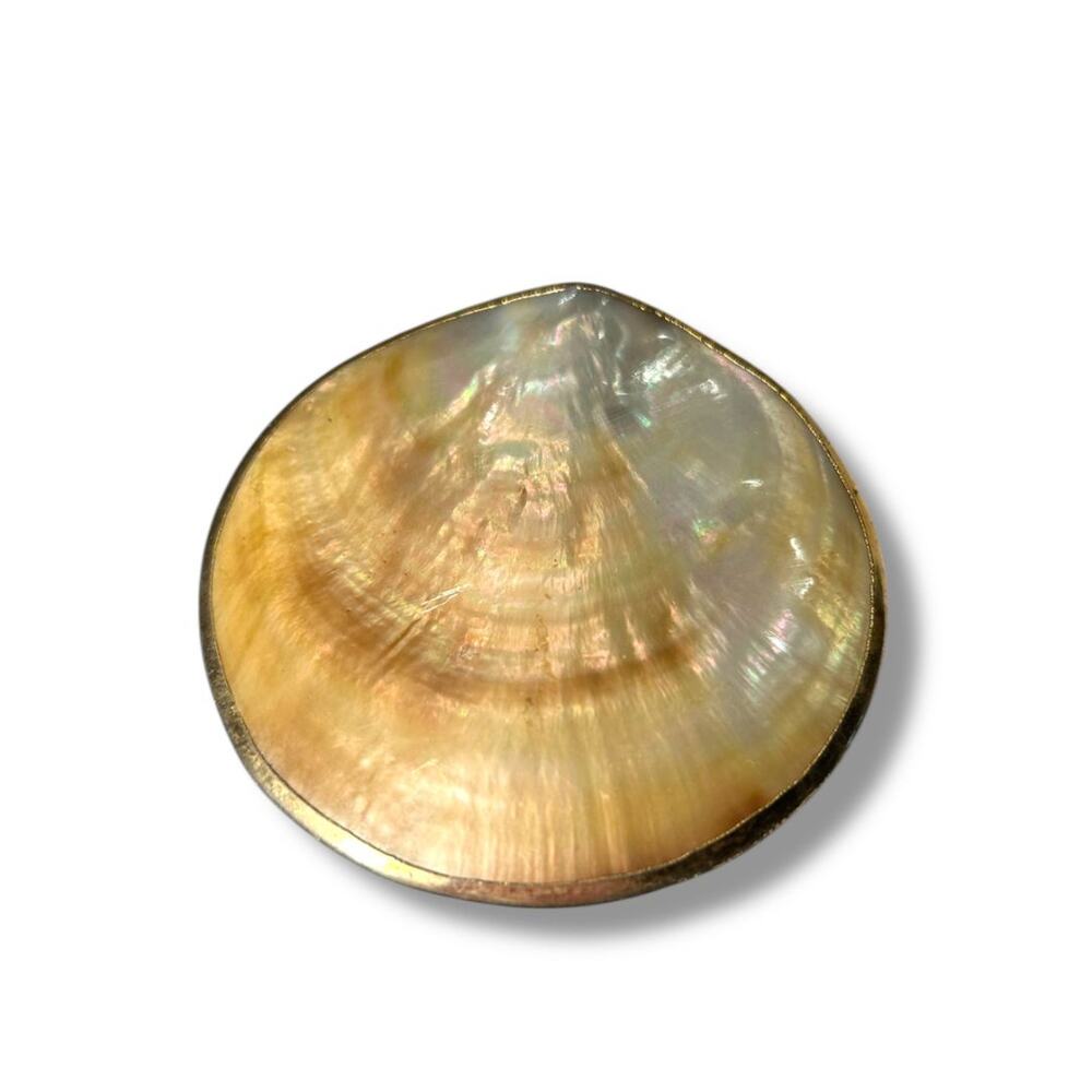 Vintage Shell Mother of Pearl Belt Buckle Goldtone Trim 2.75"‎